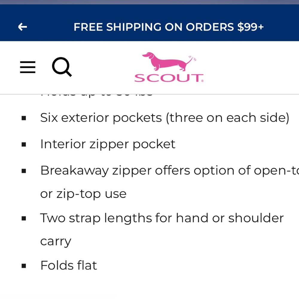 Pink, Blue and White Scout Pocket Rocket Tote - Picture 7 of 7